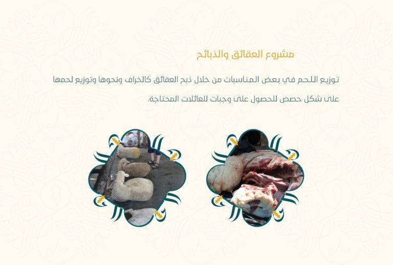 الصفحة 13 بعد الغلاف (ألوان RGB)